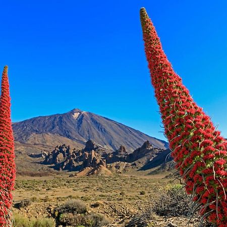 Terrazas Del Teide Apartman Puerto de la Cruz  Kültér fotó